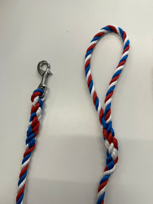 Kingfisher Spliced Dog Lead