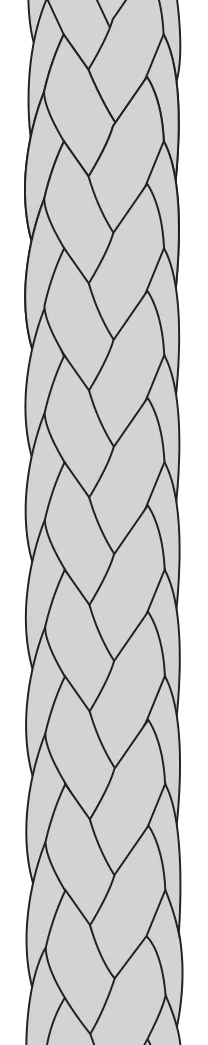 Kingfisher Evolution Splice