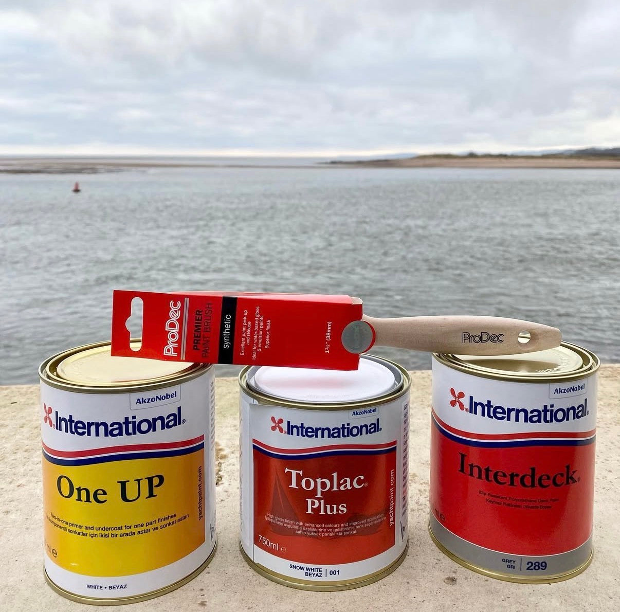 Paint, Varnishes & Antifouling