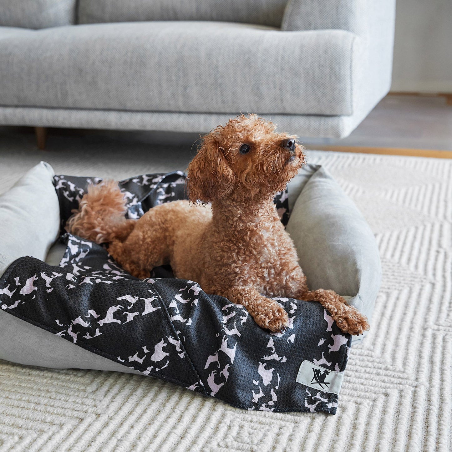 Dock & Bay Dog Towel