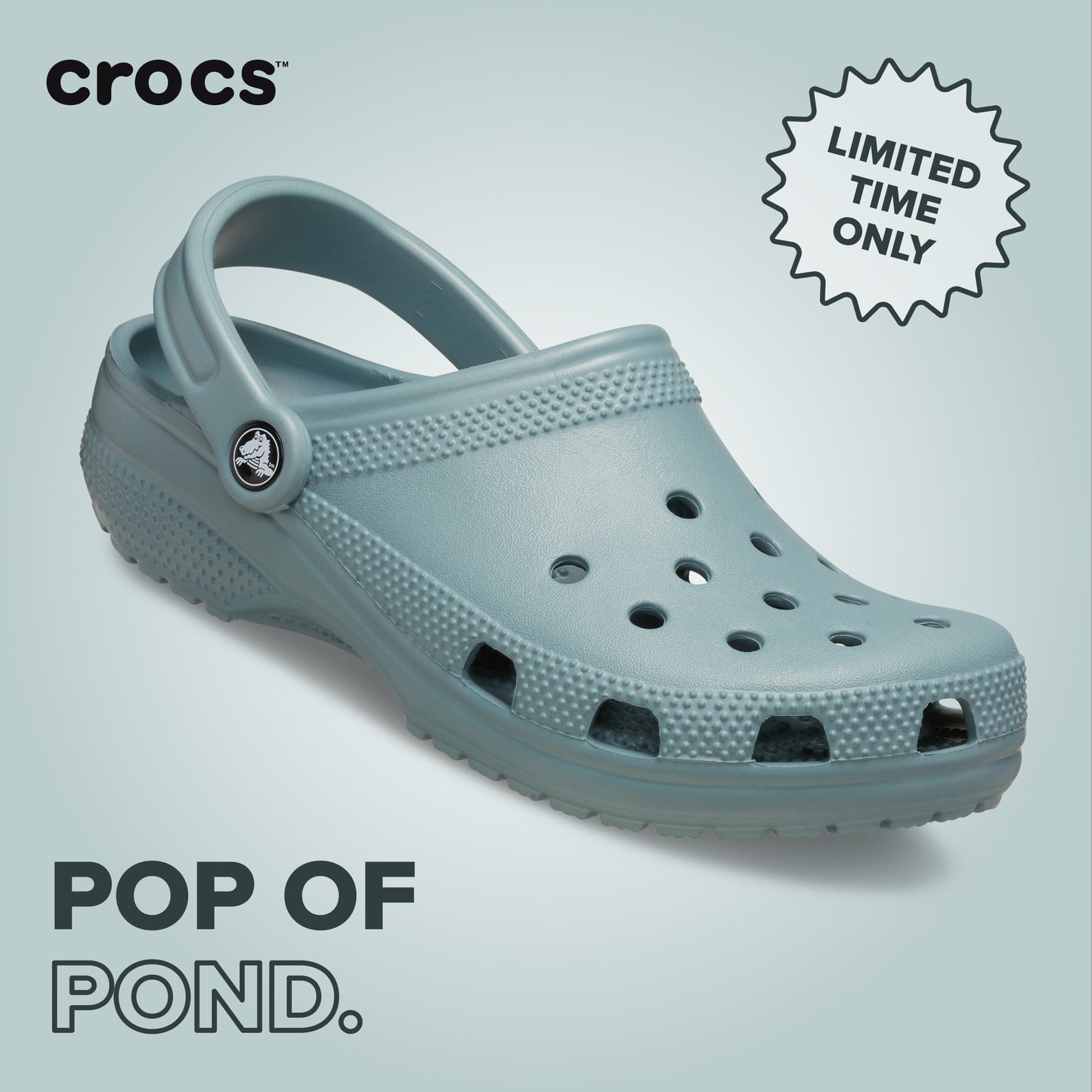 Crocs Classic Clog