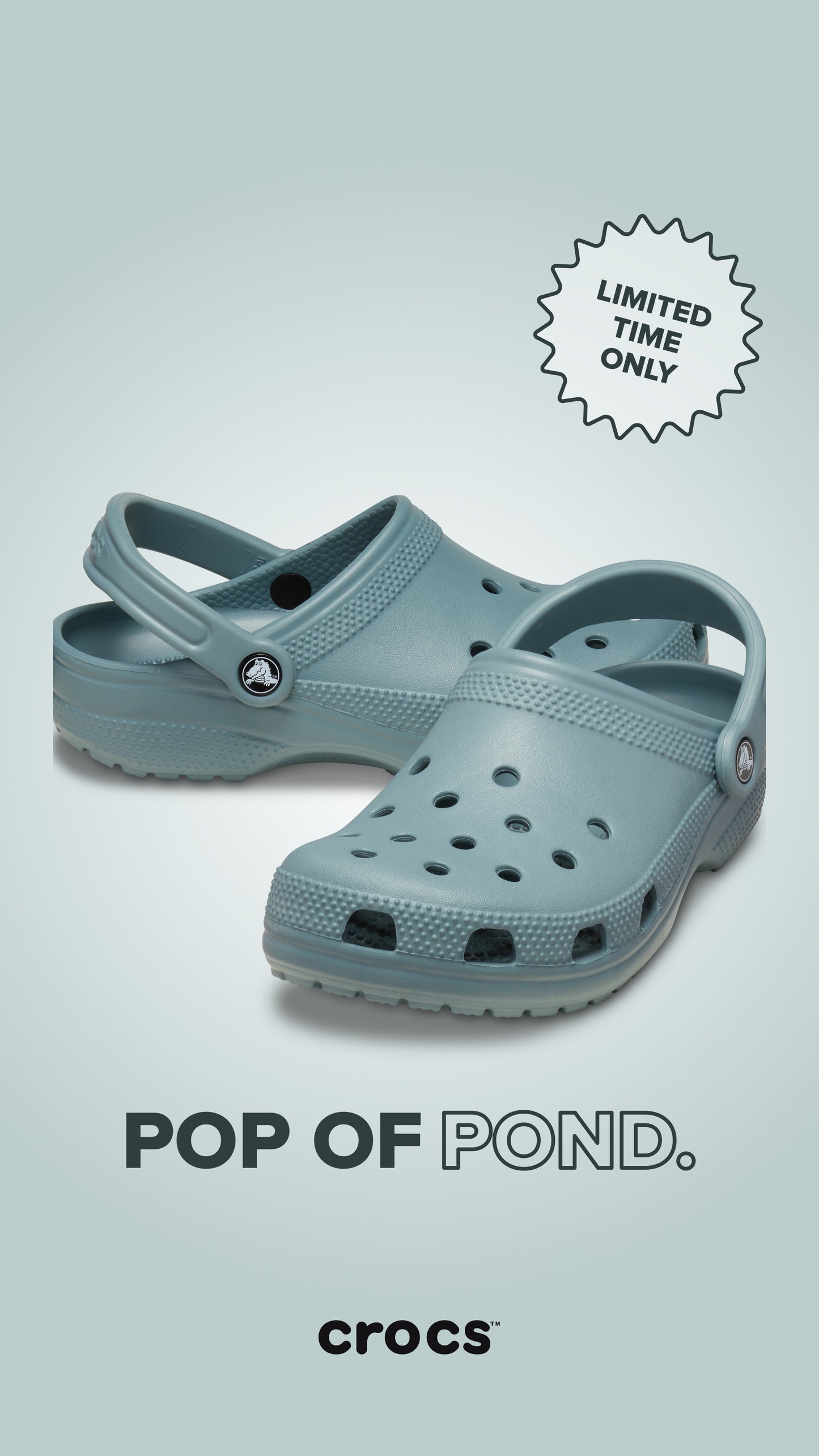 Crocs Classic Clog