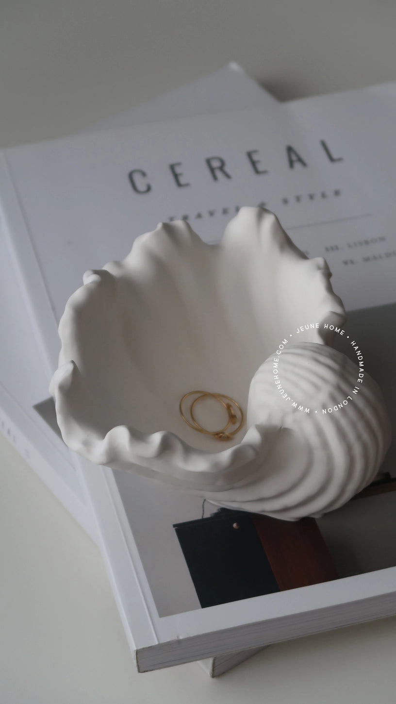 Elegant Shell jewellery trinket dish in bone white