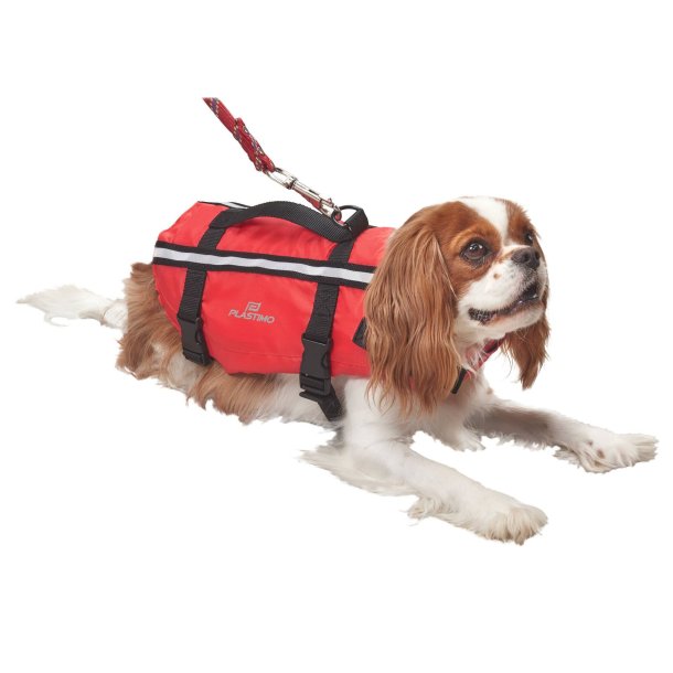 Plastimo Pet Floatation Vest Dog Buoyancy Aid