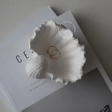 Elegant Shell jewellery trinket dish in bone white