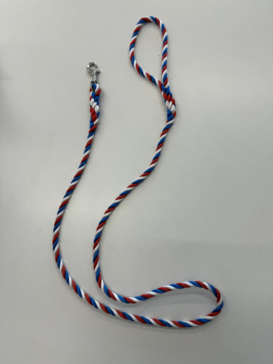 Kingfisher Spliced Dog Lead