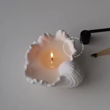 Jeune Home Seashell candle